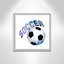 Fille de football 1-48188694-48188688