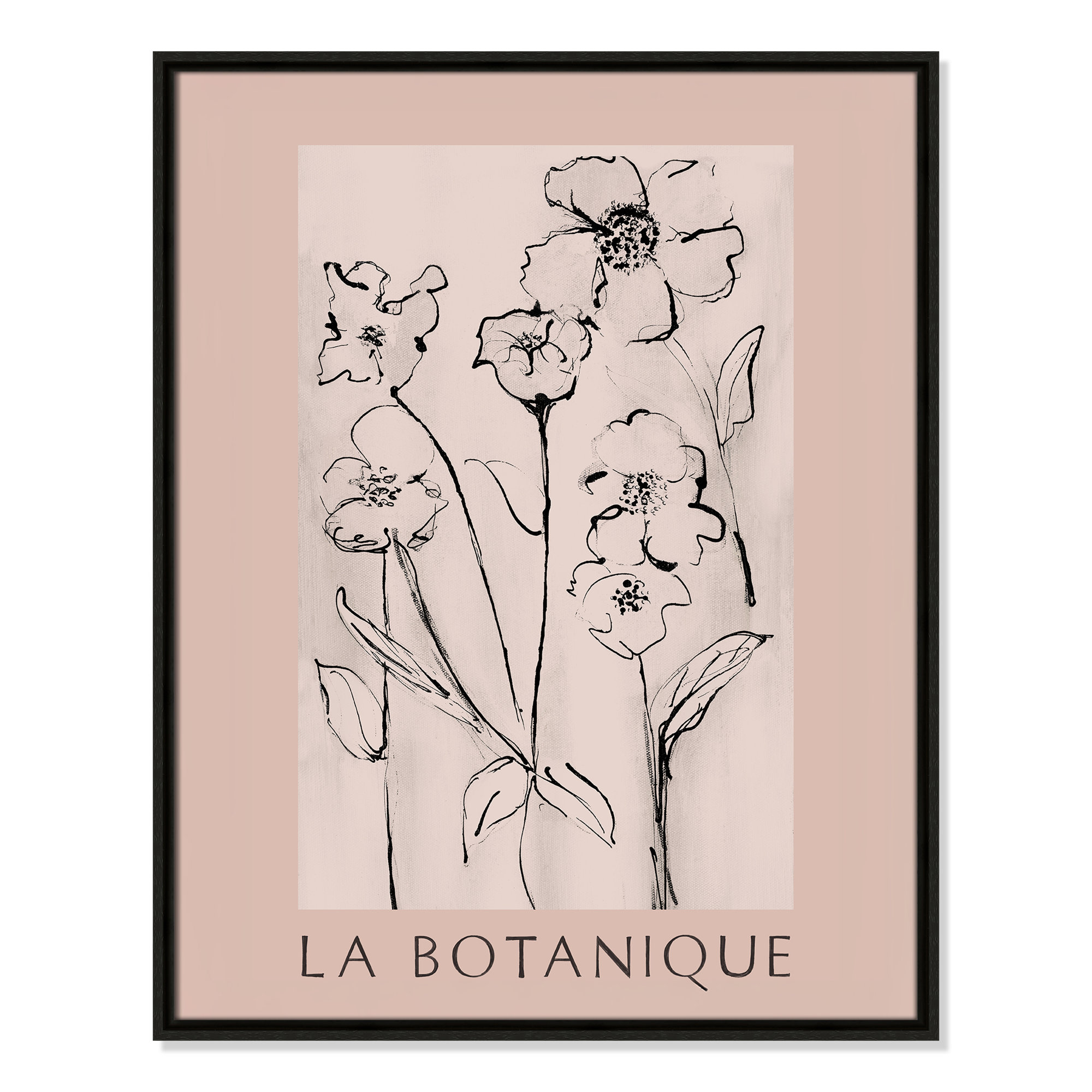 Botanical Poster Collection " La Botanique " by Susan Jill, No, 29.5" H x 23.5" W x 2" D, Espresso Floater Frame