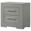 Pierce Grey High Gloss 2-Drawer Nightstand Bedside Table-5480105