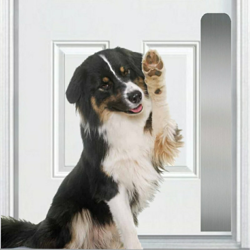 Accessoire de porte pour animal de compagnie Acrion, Nickel satiné, H 30 po x l 6 po x P 0,05 po