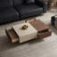 Table basse moderne et simple
