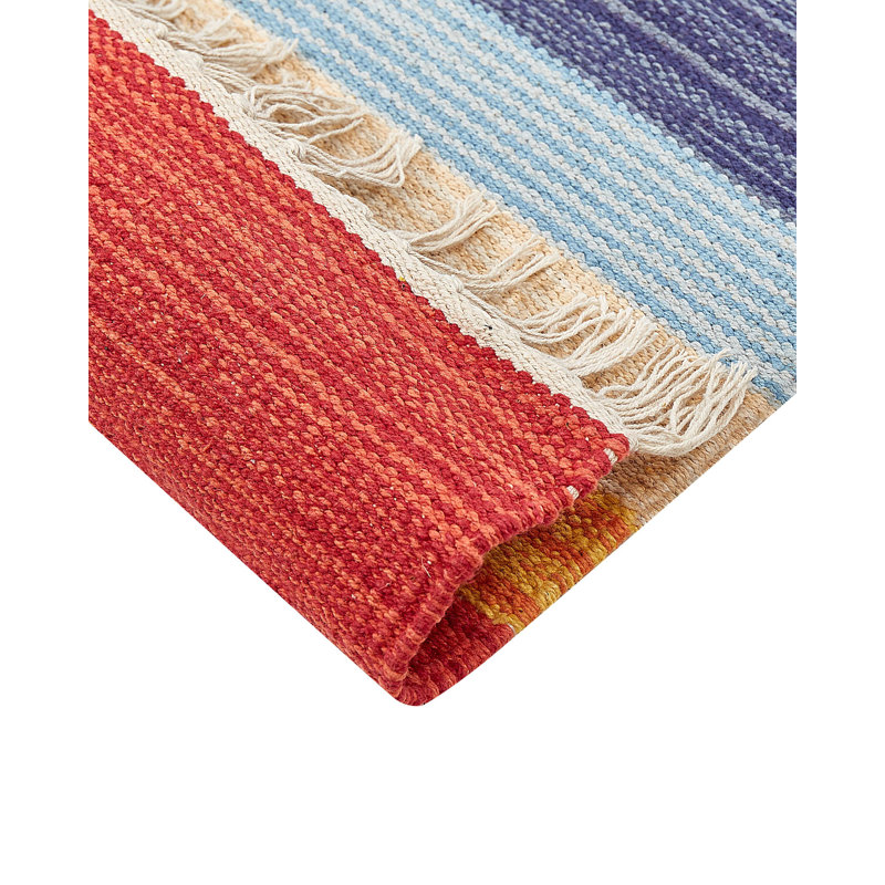 Judson Southwestern Cotton Hand Woven Area Rug, Rectangle 200 x 300cm