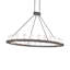 24 - Light Chandelier