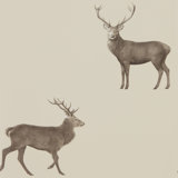 Evesham Deer Wallpaper