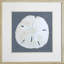 Shell On Slate II Print by Meagher