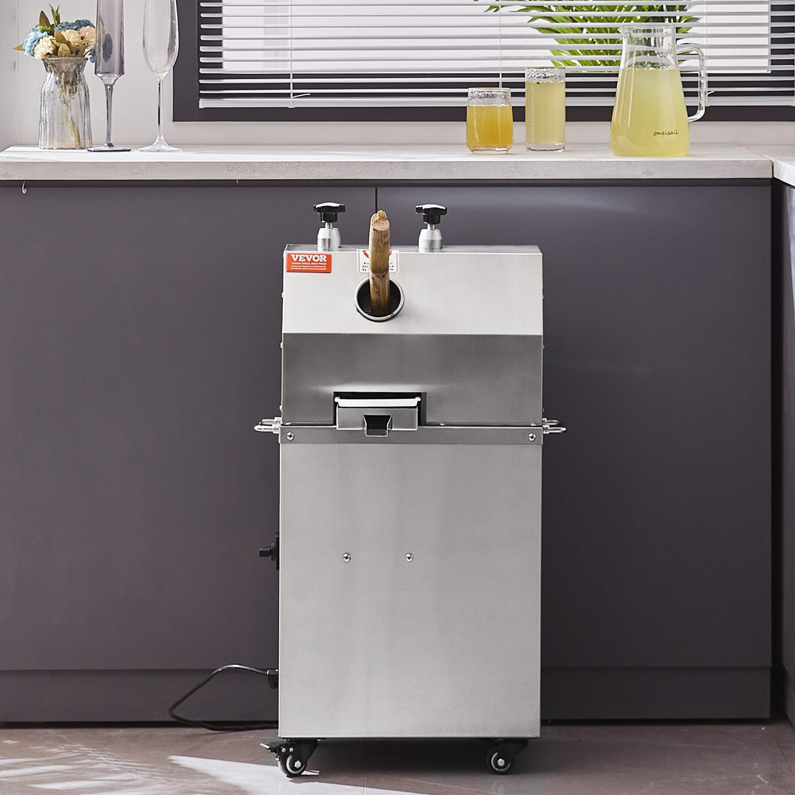 VEVOR 750 Watt Stainless Steel Electric Slow Masticating & Cold Press