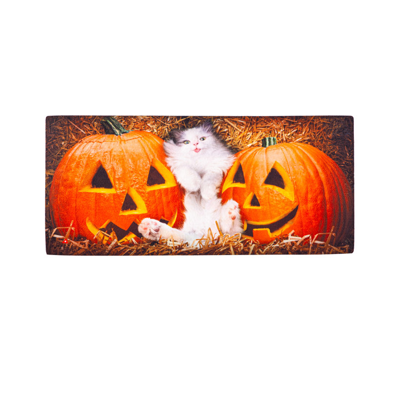 Tapis pour chat Quitman