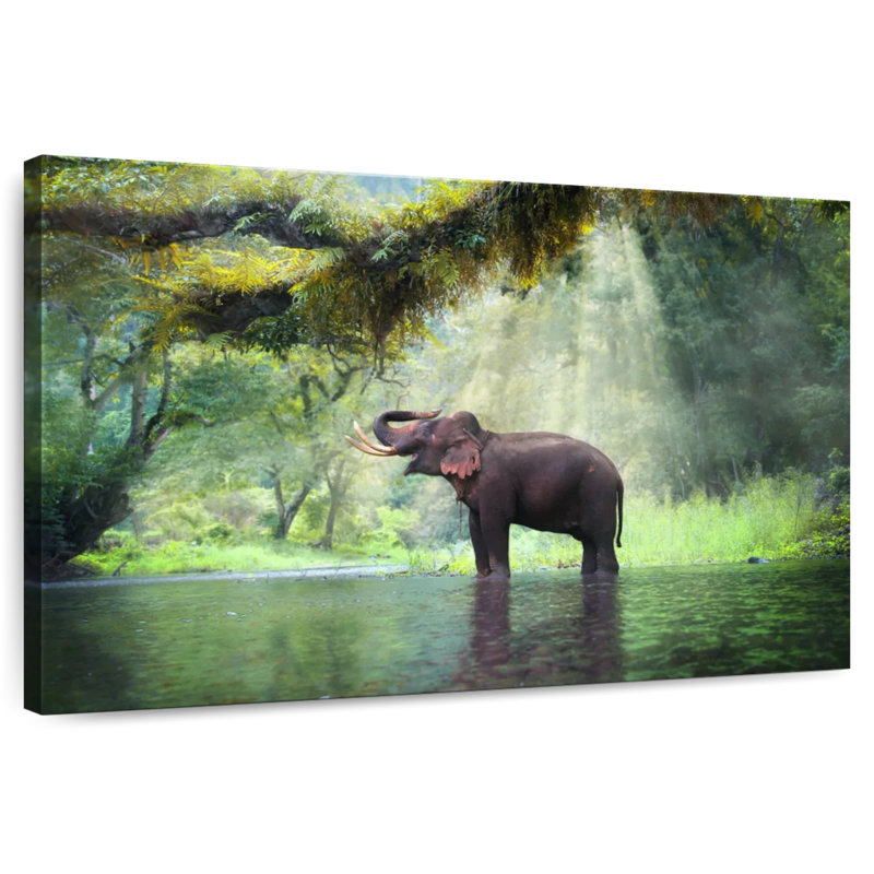 Brampt Elephant In The Forest, 24" H x 36" W