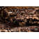 17 Stories Misouk Abstract Rug & Reviews | Wayfair