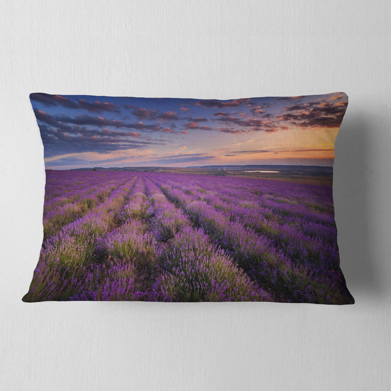 Terrain lavande foncé avec coussin lombaire nuageux
