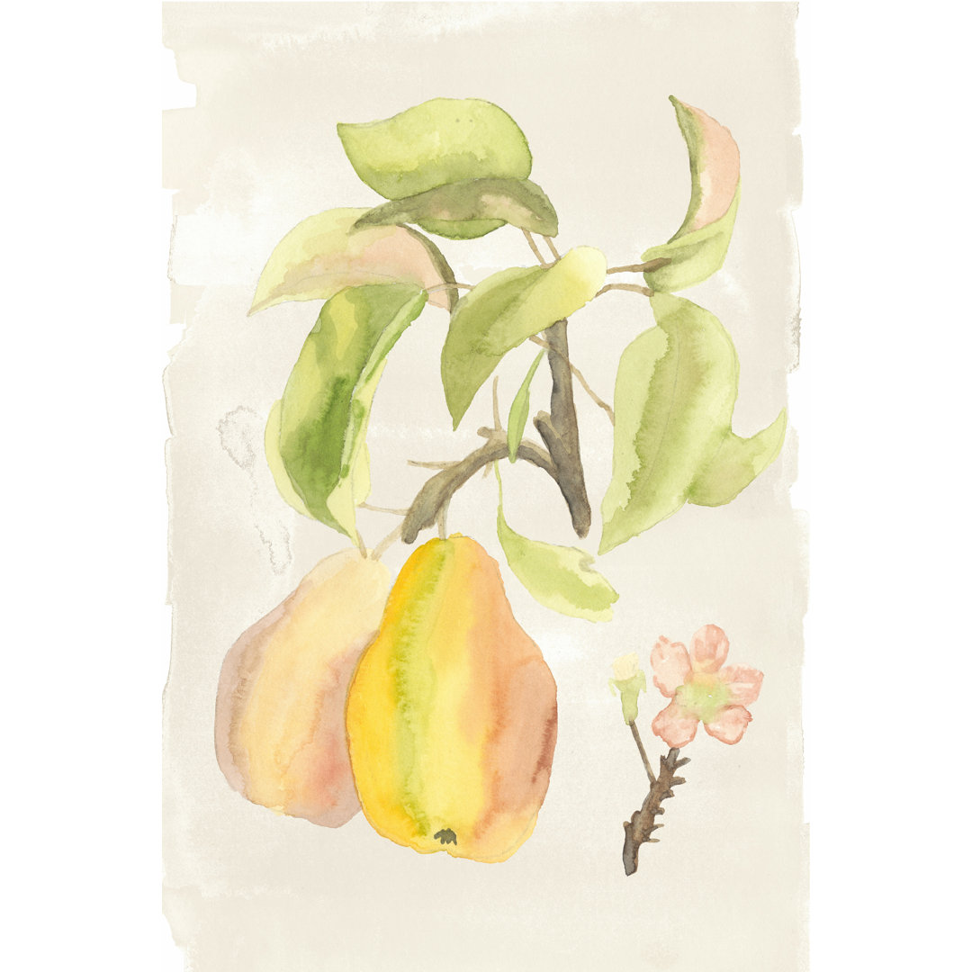 Leinwandbild Watercolor Fruit III von Naomi McCavitt