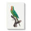 Brown-throated Parakeet by F. Levaillant - Wrapped Canvas Painting-55362036
