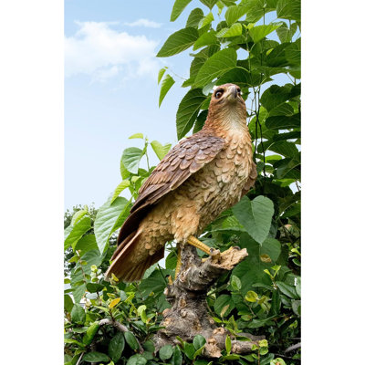 Wild Hawk Standing On Branch Garden Statue