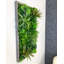 106cm Plant-1867390957