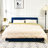 Amatia Upholstered Metal Platform Bed-1395862836-1395862841