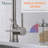 OAKLAND Pull Down Kitchen Faucet-55638824