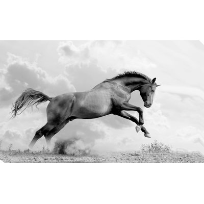 " Flying Horse " Print
