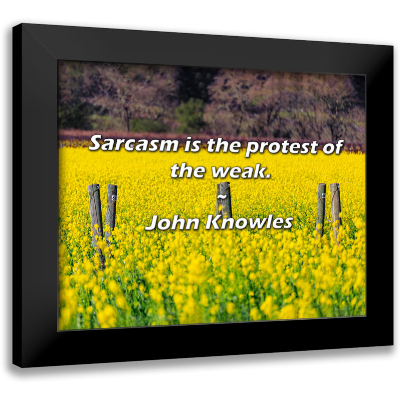 Citation de John Knowles: Le sarcasme est la protestation des faibles.