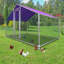 Parc à poules avec grillage métallique Ezekiel