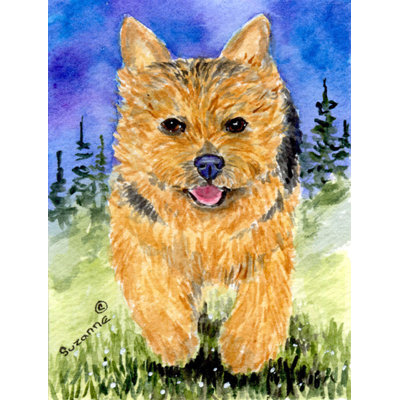 Norwich terrier polyester 40 x 28 po drapeau maison