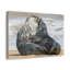 «Seal Couple», impression d'art mural