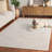 Reflection Performance Oriental Indoor Rug-2066510675
