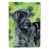 Schnauzer géant sélectionné