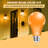 Orange Light Bulbs-136330891