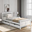 Storage Bed-347189576-347189579