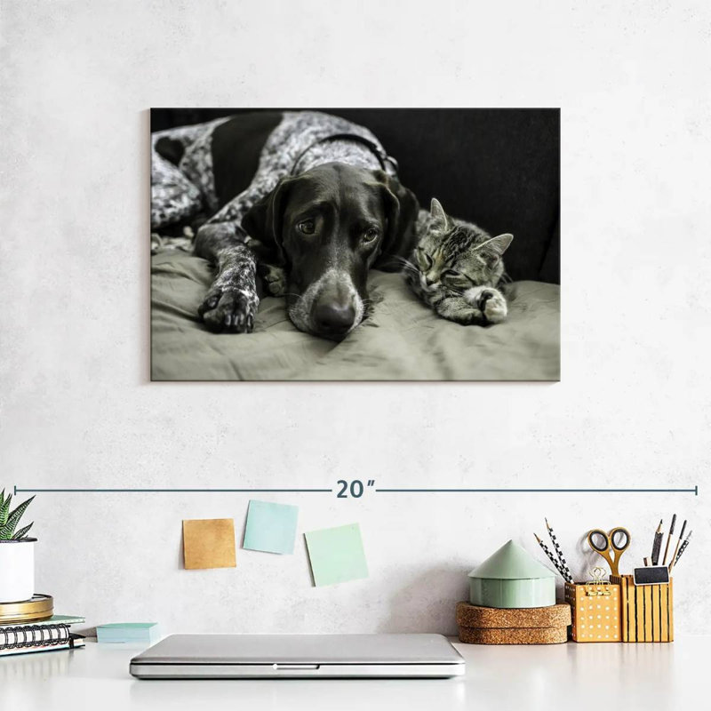 Dog And Cat Friends, 8" H x 12" W