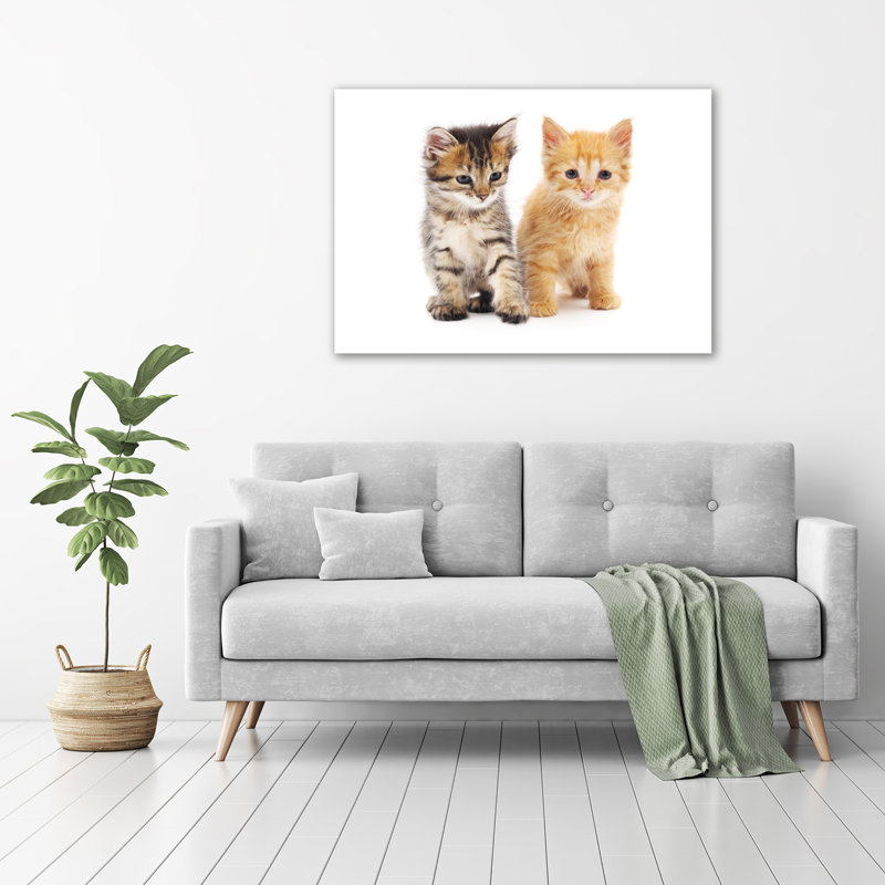 Brown And Red Cat - No Frame Print on Canvas