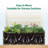 Planter Box With Trellis, Vertical Garden Bed With Aluminum Frame & Composite Wood Panel（With Bottom Panel）-838768978