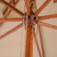 Kirwan 300cm Market Parasol