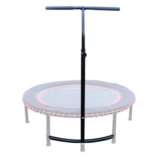 LEAPS & REBOUNDS 9' Round Fitness Trampoline