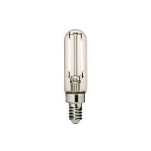 Visual Comfort & Co. LED T6 shape 2.5W Soft White E12 Candelabra base Clear Edison Style light bulb