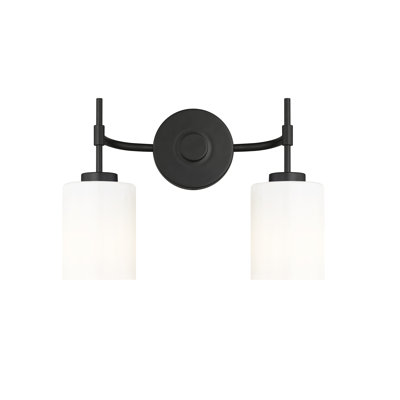 Holleran 15.5" Wide 2-Light Vanity 