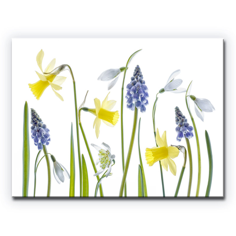 « spring », impression sur toile tendue, H 12 po x l 16 po x P 1,5 po