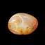 Palmier de sardonyx
