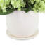 Lilacs Arranged in a Ceramic Pot