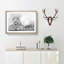 Leopard Resting - Picture Frame Photograph Print-56633104-56633103