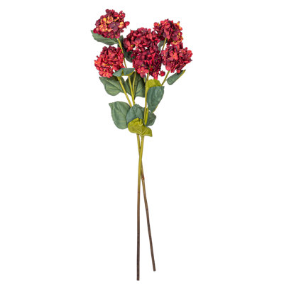 Ranbir Hydrangea Stems