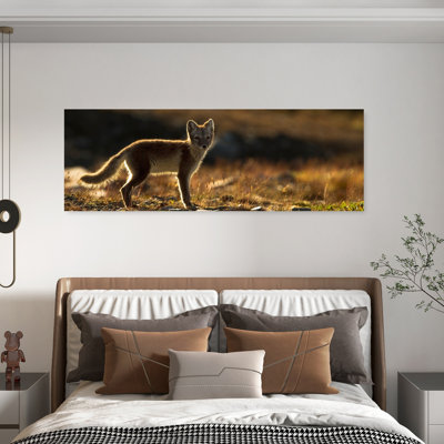 Golden Hour Arctic Fox by Karen Kolbeck - Wrapped Canvas Panoramic Print