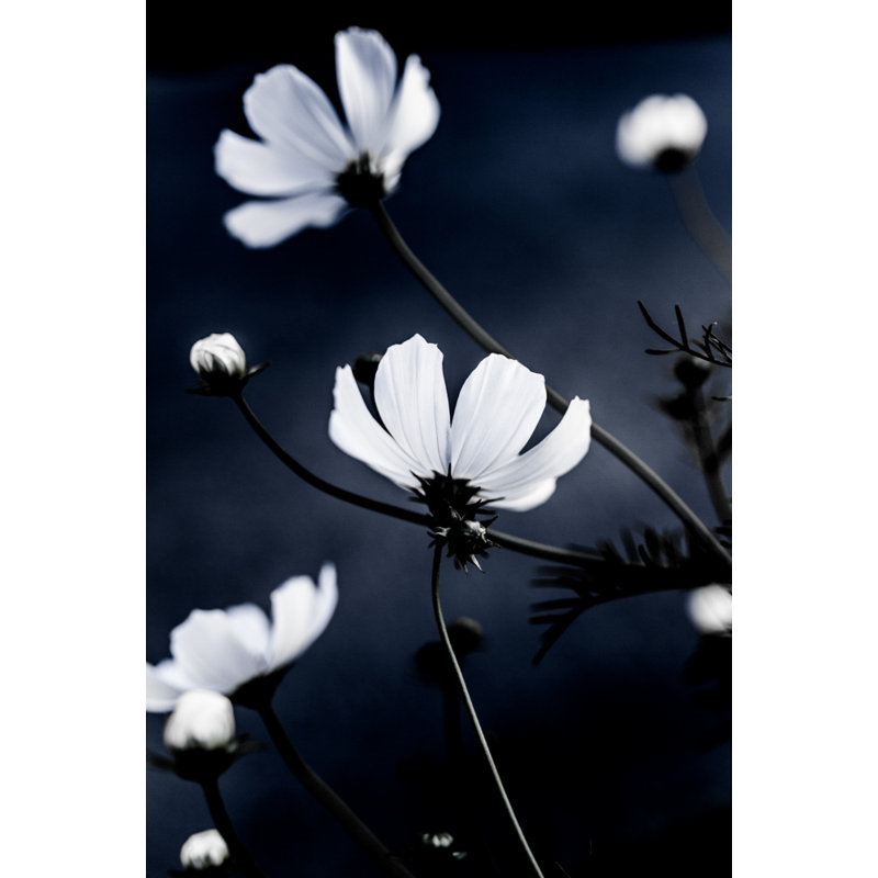 Wrapped Canvas Print, 91.44 cm H x 60.96 cm W