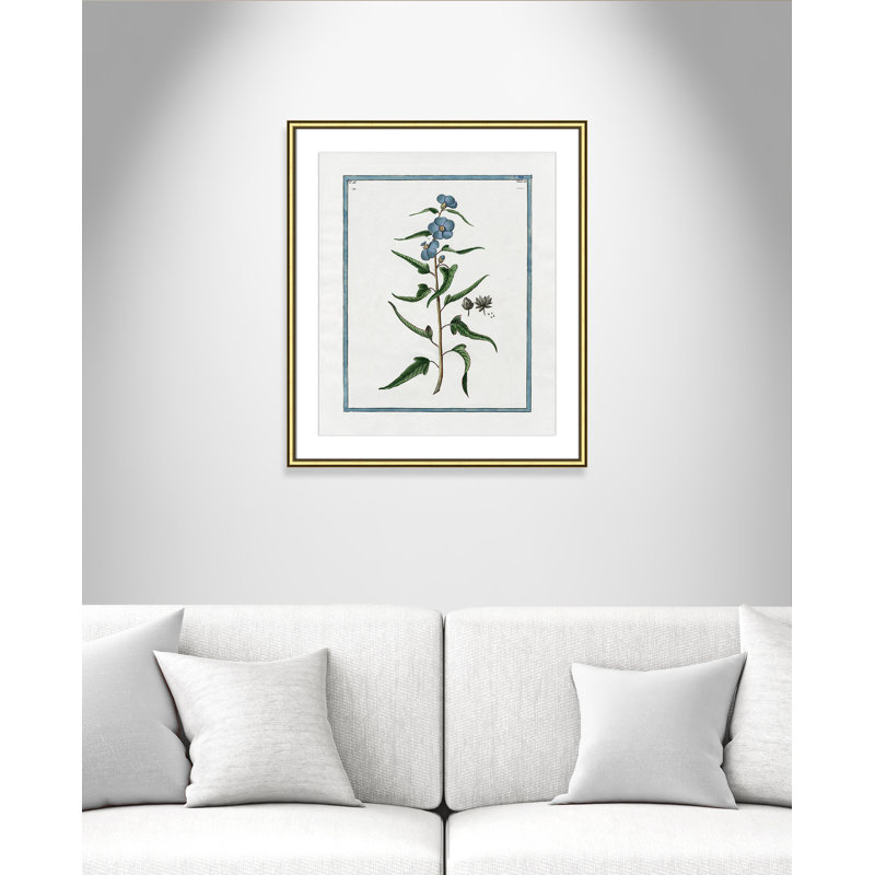 Colombe Shabby Elegance Botanical I - Framed Art Full Bleed, Gold Framed, 22.75" W x 26.75" H