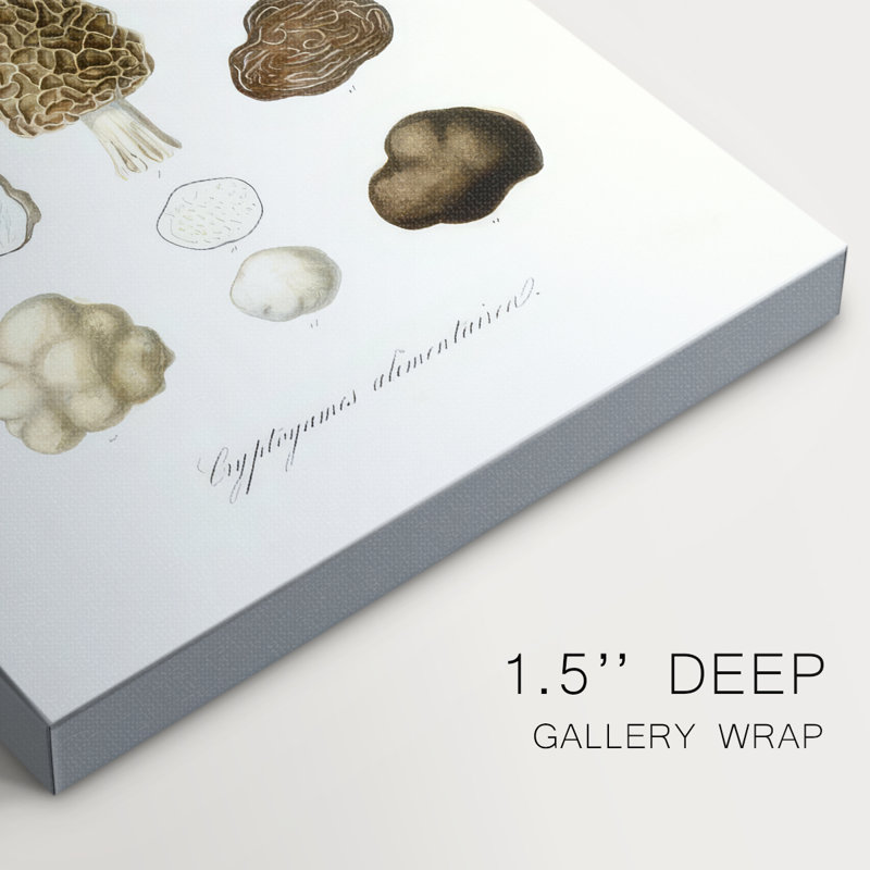 Variétés de fruits et de légumes IV - Cavas enveloppés de galerie, H 48 po x l 32 po