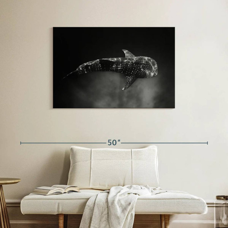 Brampt Monochrome Whale Shark, 26'' H x 39'' W
