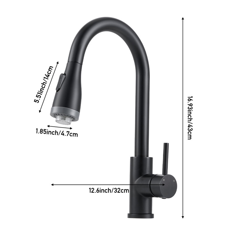 Belfry Kitchen Pull Out Kitchen Faucet, Black