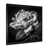 Cadre photo noir
