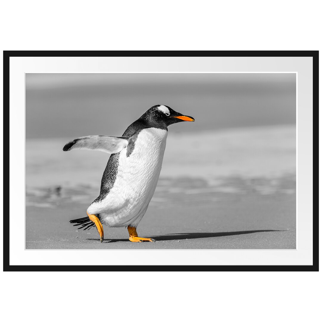 Gerahmtes Poster Watschelnder Pinguin am Strand