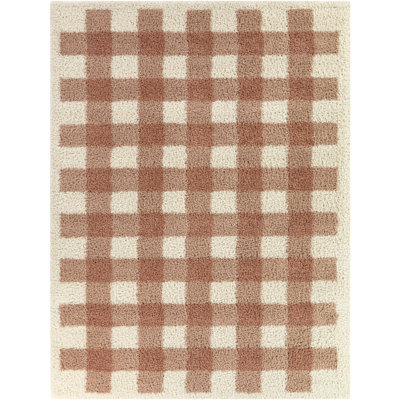 March Pink Gingham Shag Area Rug